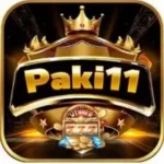 Paki11 Game Download APK Free Latest Version For Android 2025