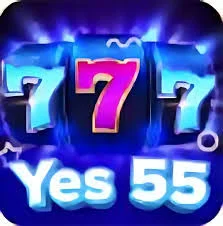 Yes-55-image